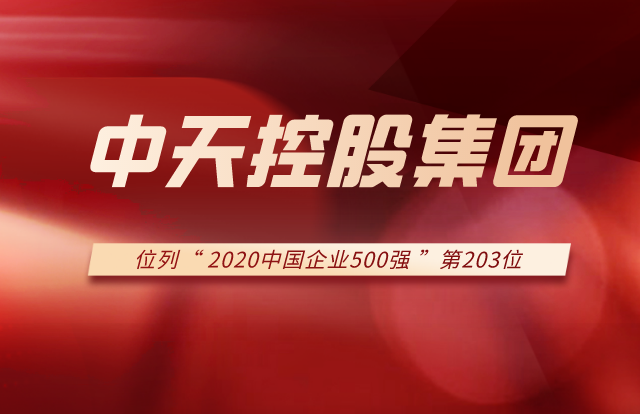 918搏天堂集团列2020中国企业500强第203位！