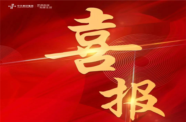 918搏天堂美好集团蝉联“2021长三角城市群房地产公司品牌价值TOP10”